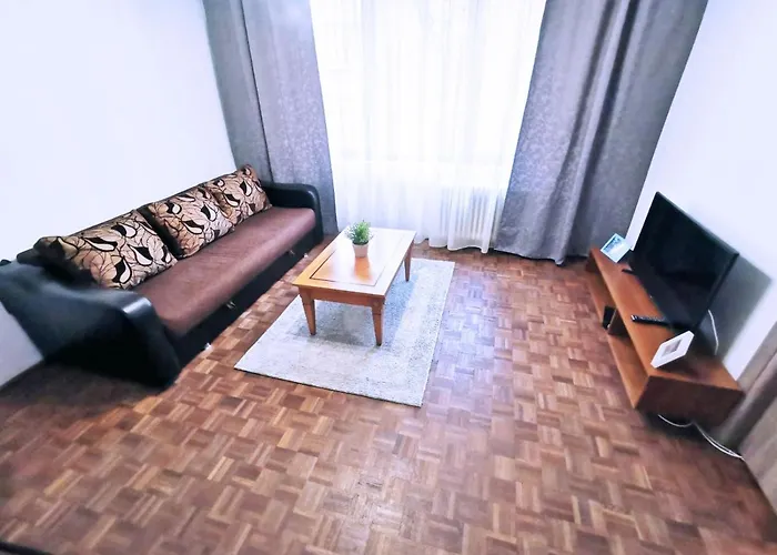 Cozy Apartment Sala Palatului