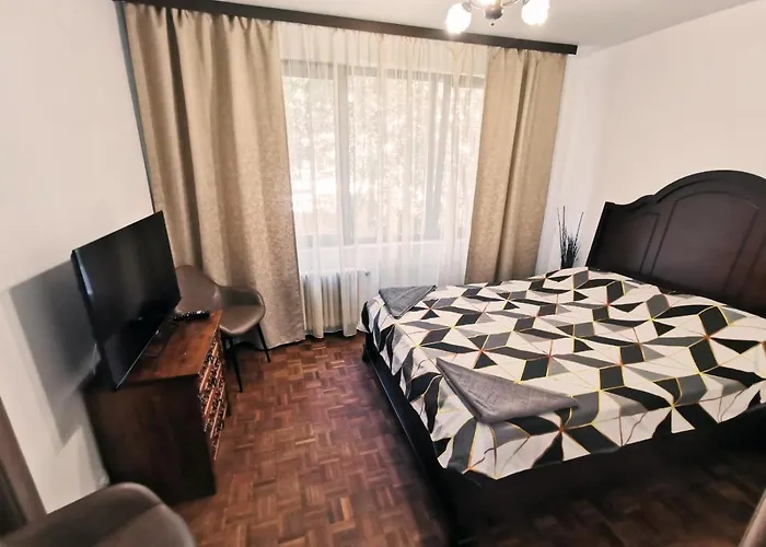 Cozy Apartment Sala Palatului